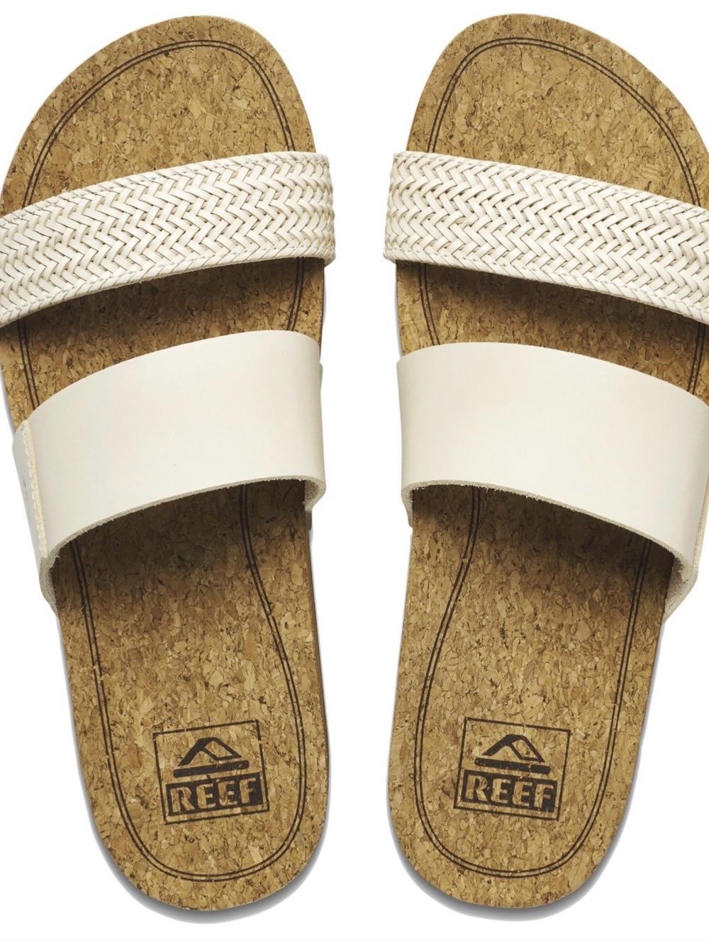 Reef Slides
